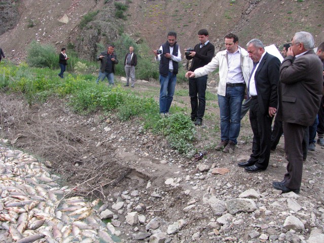 CHP balık ölümlerini araştırdı