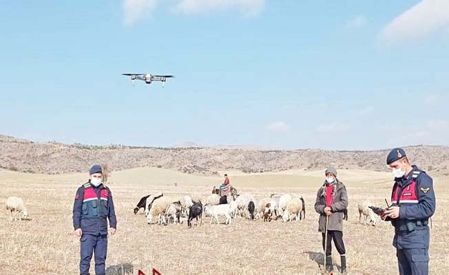 Kayıp hayvanlar drone ile bulundu