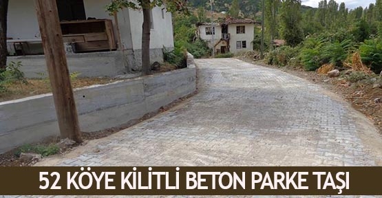 52 köye kilitli beton parke taşı