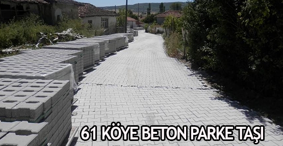  61 köye beton parke taşı