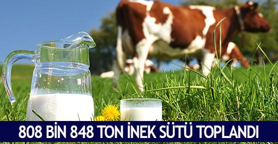 808 bin 848 ton inek sütü toplandı