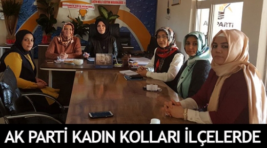 AK Parti Kadın Kolları ilçelerde