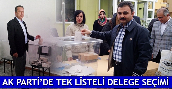  AK Parti’de tek listeli delege seçimi