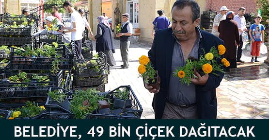 Belediye, 49 bin çiçek dağıtacak
