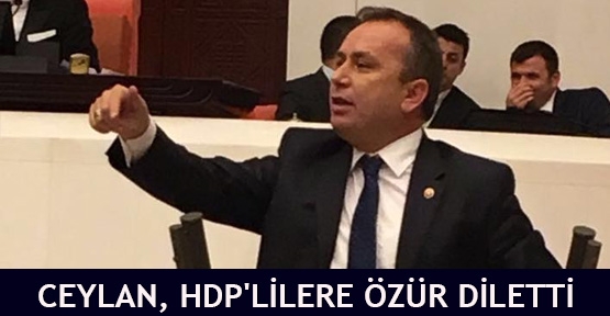 Ceylan, HDP'lilere özür diletti