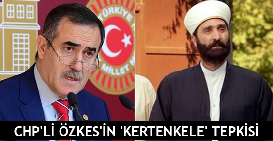  CHP'li Özkes'in 'Kertenkele' tepkisi
