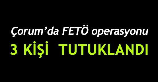 Çorum'da FETÖ operasyonu: 3 kişi tutuklandı