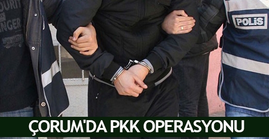 Çorum'da PKK operasyonu