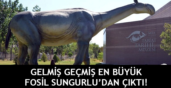 Gelmiş geçmiş en büyük fosil Türkiye'de çıktı!
