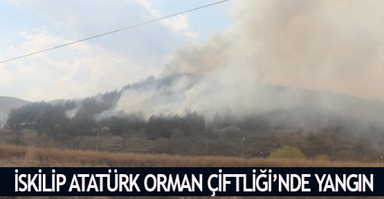 İskilip Atatürk Orman Çiftliği’nde yangın 