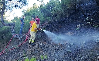 Çorum’da yangın, 2 hektar kül oldu