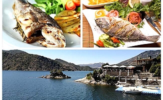 Altın Koz'da balık sezonu açıldı