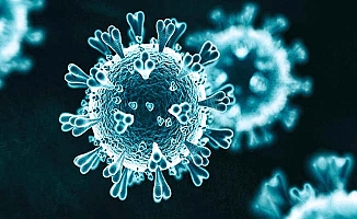 17 ilde mutasyonlu virüs tespit edildi