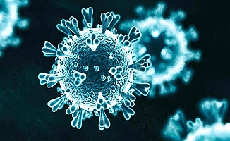 Kaymakamlık açıkladı, 2 kişide mutasyonlu virüs tespit edildi
