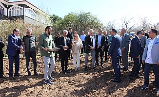 Amasya Üniversitesi'nden Çorum'da kenevir üretimi için işbirliği