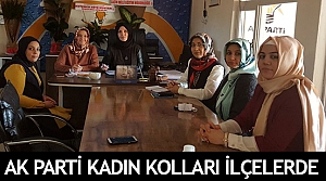 AK Parti Kadın Kolları ilçelerde