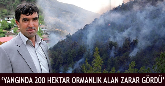 'Yangında 200 Hektar Ormanlık Alan Zarar Gördü'