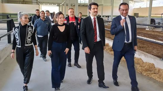 102 başlık süt üretim tesisi tamam