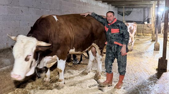 İmparator rekor fiyatla gitti