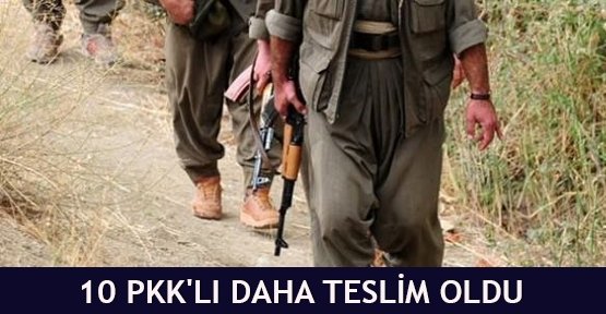 10 PKK'lı daha teslim oldu