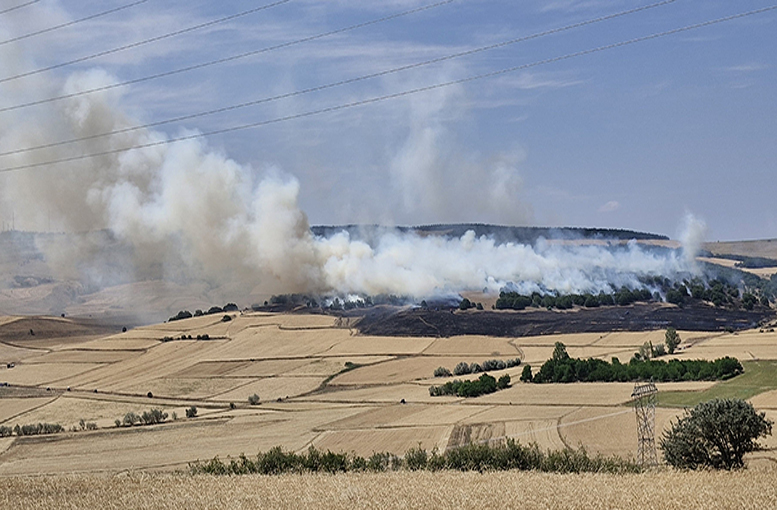 200 dönüm kül oldu