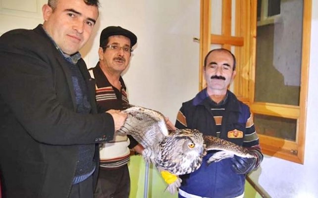 Kurtulmak için saatlerce çırpındı
