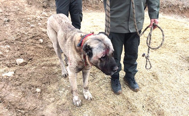 Bahisçilere operasyon!