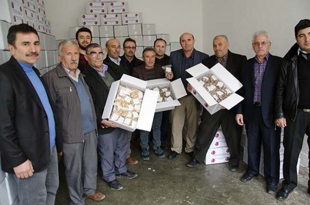 Mehmetçik'e Oğuzlar cevizi gidecek