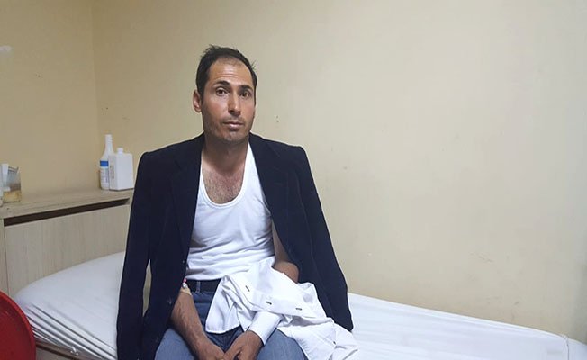 Köpekler saldırdı, hastanelik oldu