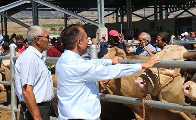 Hayvan alırken o programı kullanın
