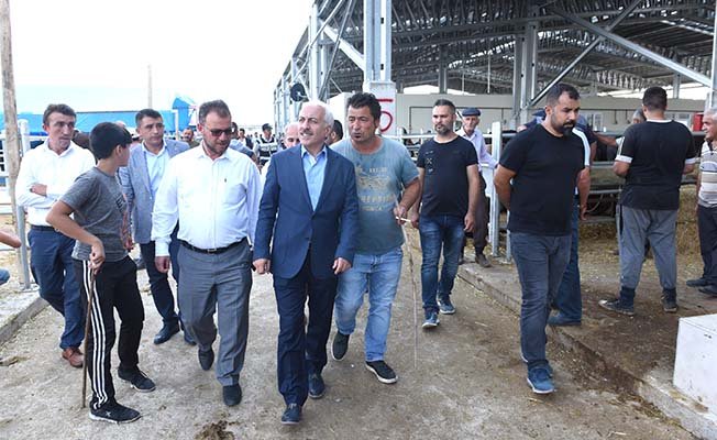 Hayvan Pazarı’na otobüs seferi