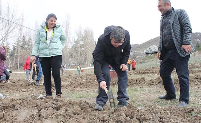 Tapınakta lavantalar açacak