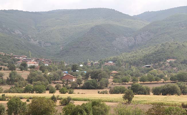 Kuduz vakası köylüleri korkuttu