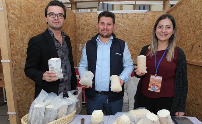 Kargı tulumu Kars'ta