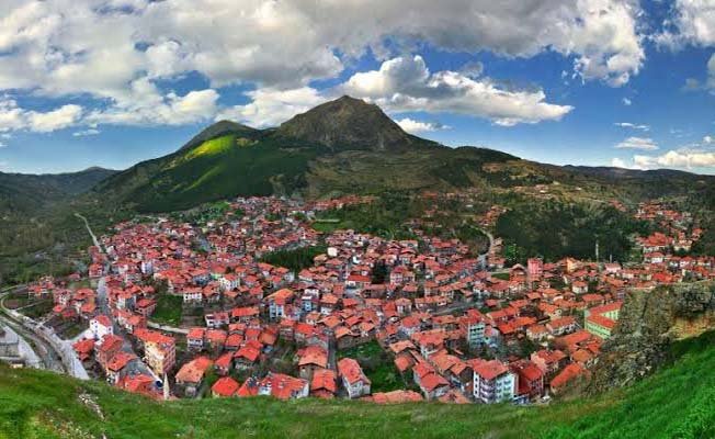 Evi terkeden kardeşler İstanbul'da bulundu