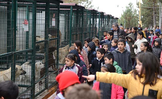 Türk ve mülteci çocukların mutlu günü
