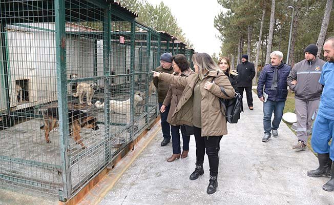 Çorum’u incelediler, Sungurlu’ya kuracaklar