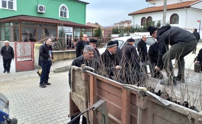 Dutlar çeşme başına