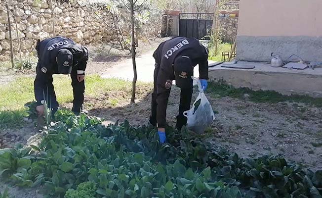 Polis vatandaş için ıspanak topladı