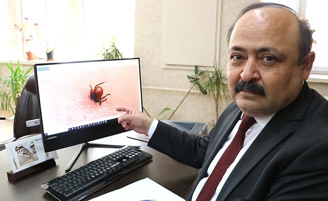 Bir çarpıcı kene haberi de Sivas’tan geldi