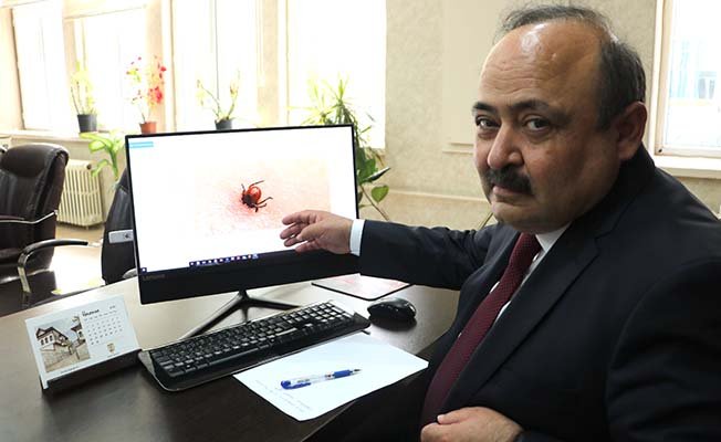 Kene Koronavirüs'ten daha ölümcül