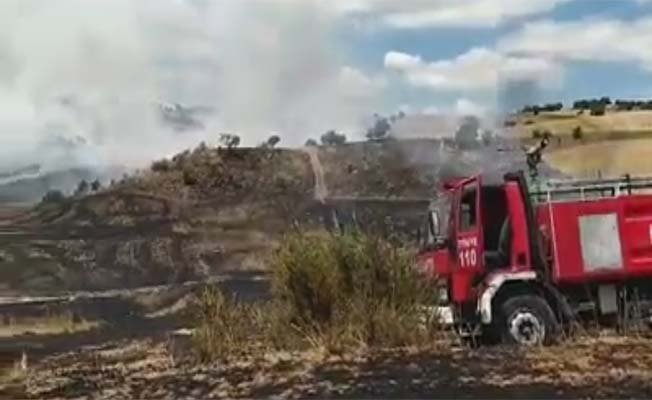 Korkulan oldu, anız yangını ormana sıçradı