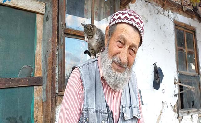 65 yaş aylığı ile hem kendine hem kedilere bakıyor