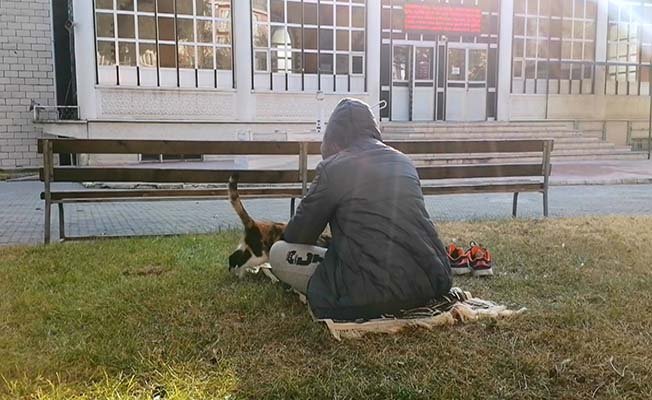 Üşüyen kediyi sevgisiyle ısıttı