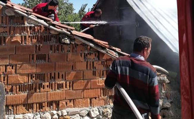 Hayvanlar dumandan telef oldu