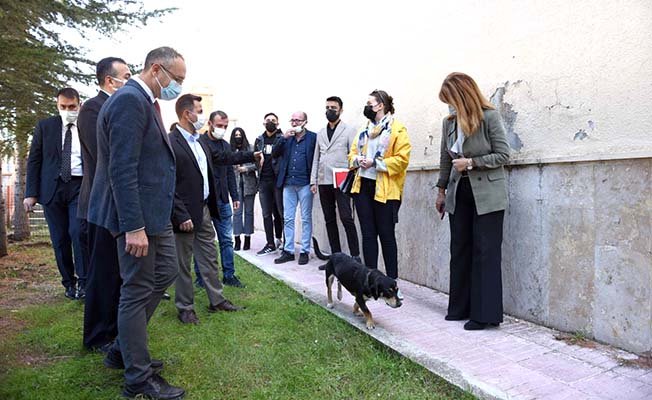 Fen-Edebiyat'ta 'Köpek Evi' projesi