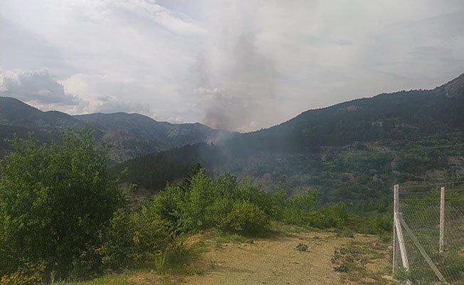 Yivlik tepesinde yangın