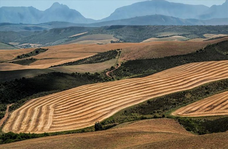 23 adet hazine arazisi satılacak