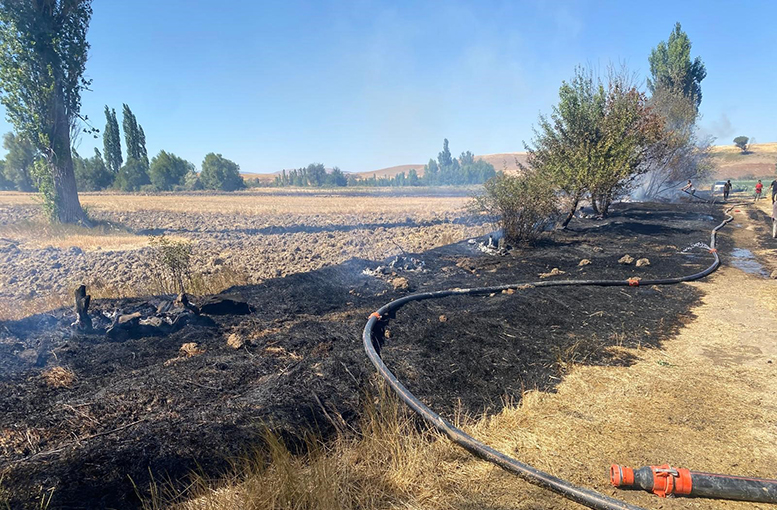 5 dönüm arazi yandı