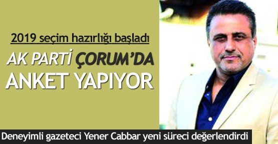 AK Parti Çorum'da anket yapıyor
